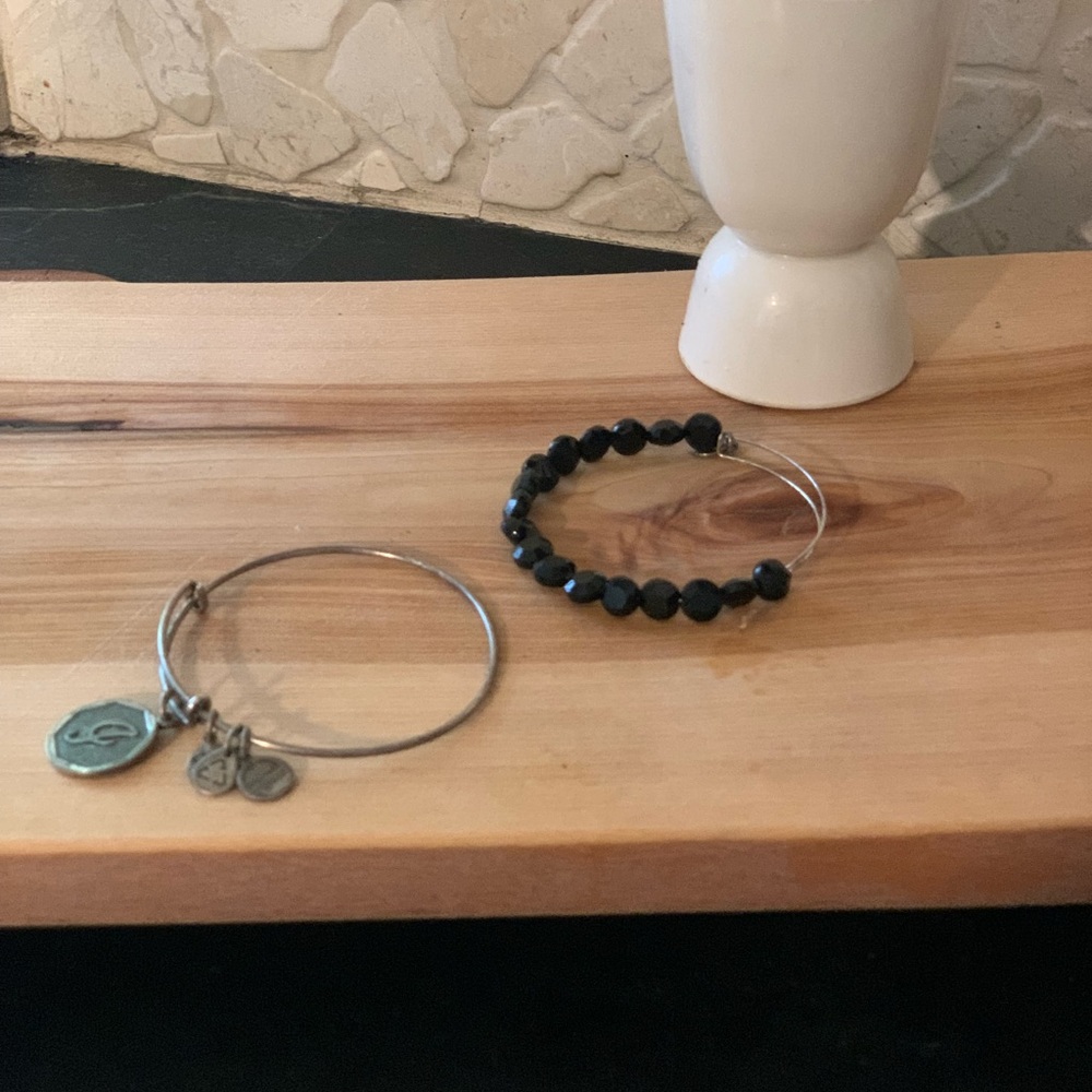 ALEX & ANI | Set of 2 | Charm Bangle Bracelets